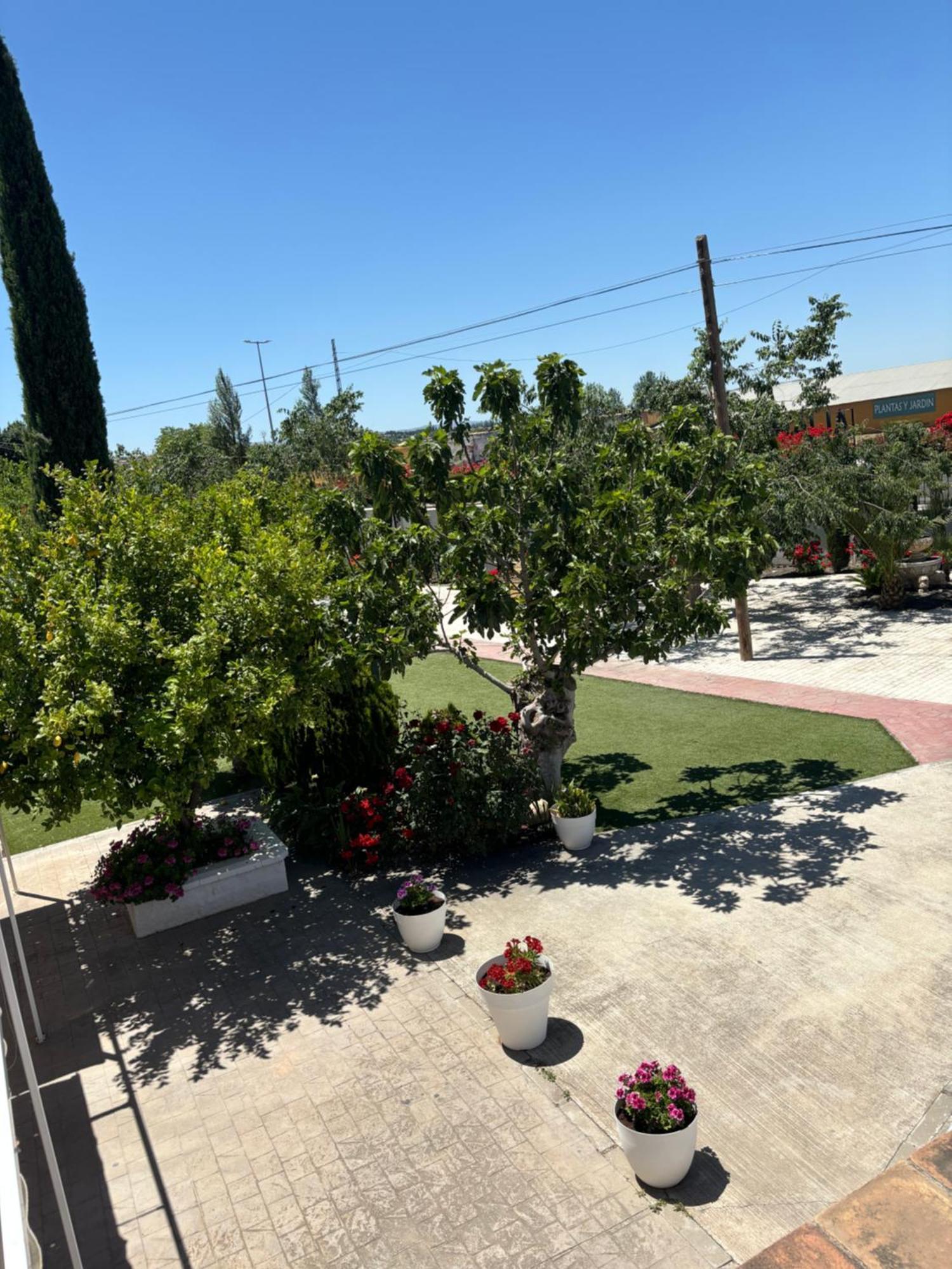 Finca Mi Alma Ogíjares المظهر الخارجي الصورة